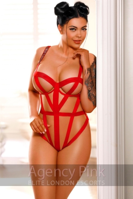 Tall agency escort Harmony is in her kinky lingerie looking stunning Picture 4